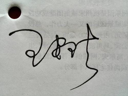 高手帮我设计一个签名名字:王安琪,急急急!