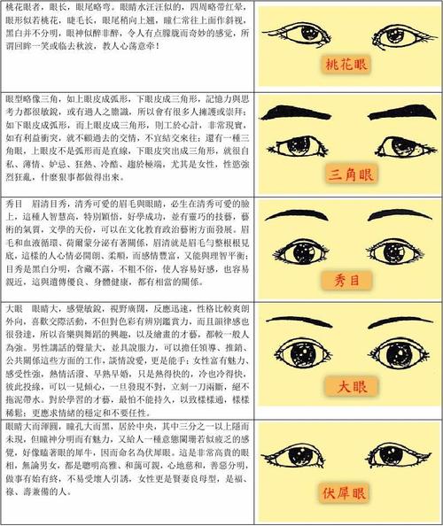 所有分类 人文社科 法律资料 > <a href='http://www.51zhouyu.cn/yunshi/xiangxue/61.html' target='_blank'>面相大全</a>-眼眼型略像三角,如上眼皮成