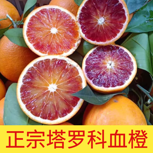 塔罗科血橙10斤装整箱包邮新鲜水果当季手剥橙子红心肉甜橙大果