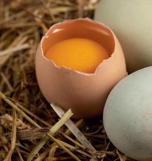 持戒素食者能不能吃鸡蛋?