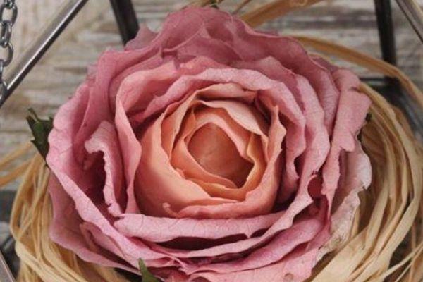 灵签占卜:凭你的眼缘选一朵玫瑰花,测你的婚姻能否挺过三年