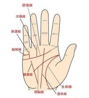 手相图解大全智慧线,如何看手相人纹线(二)