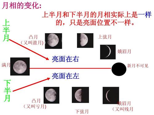 凸月 (又叫盈月)) 上弦月 娥眉月 亮面在右 满月 新月不可见 亮面在
