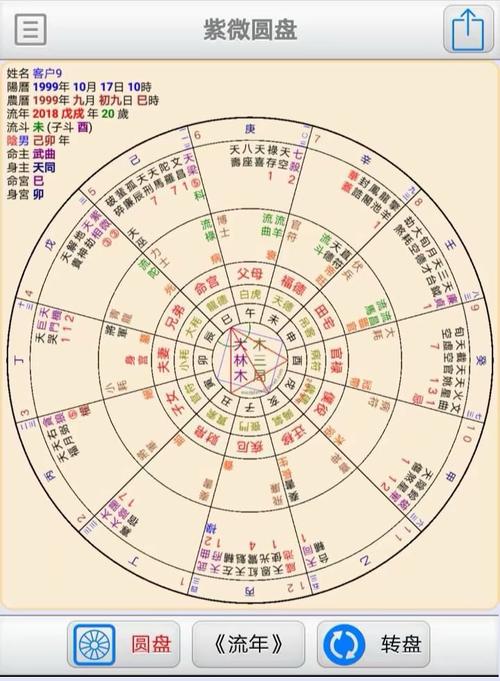紫微圆盘软件: ●圆盘:包含紫微圆盘,姓名,出生日期阳历及农历,流年