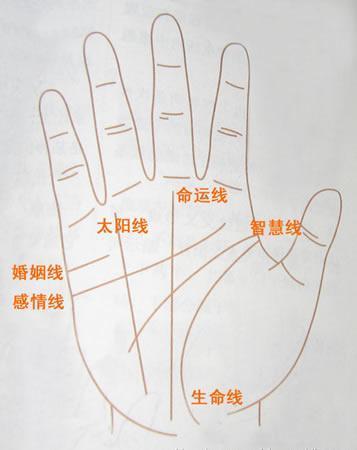我们知道,人的手掌通常会有三条线相比要明显,那就是生命线,感情线和