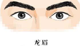 男人龙眉面相分析龙眉的特色是,毛顺有彩,眉尾过目,眉不过浓,根根见肉
