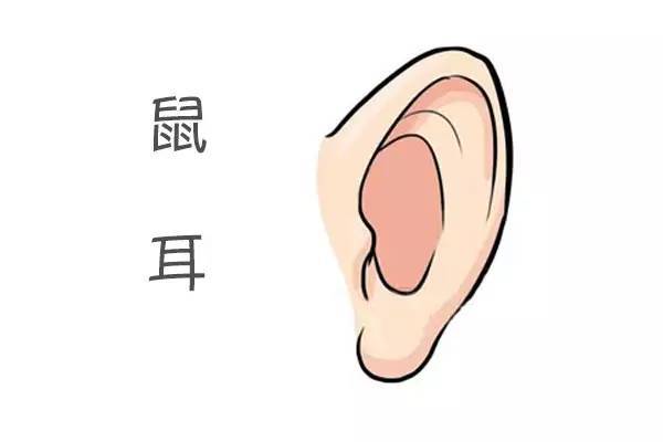 富贵的耳朵长什么样,大富大贵的耳相从面相学的角度来看,耳朵被称作